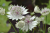 a1b97f45d72d70eb08a57bb030e7d7cf.png