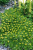 9d12d80f0362f3710e1158808d75da7d.png