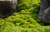 3037be0ec14ab3ad0540b691d6baab99.png