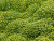 cf5317abed5c81e37ecff9acba7a0748.png