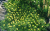 3c29ad453dbd8ff66e288df87375b7bc.png