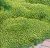 b836a33576bdc30c31afd6d97b0743d9.png