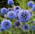 e4bfb13f577a13f5e86cb789ec5d7d27.png