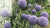 307cd7a6257befd19523ab5e8f506d54.png