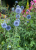 ee6b4a90a845908828ea75e1fb4c3ab4.png