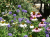 b1800a3c635b1d8b3bfef52ac8ca97fb.png