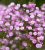 7a59a3941aadf94d997394174258cbc1.png