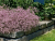 554521ceb50d98a2011e5759a239b87c.png