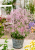 c886b4489be34506ce9076f189603ae1.png