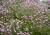 e9b6bc02df14ac886f5bdd8b49cda065.png