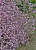 47c4c9ade17f90eb8506634bf1a474d4.png