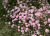 8e3c5d29bb44644201c895fec12a1cda.png