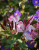 08b88f9892b7be4098aabf7d73897a80.png