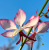 571b1427bb6efac6bb13901f0c199d03.png