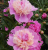 8e9628fc026b3532fd552454cb71ea89.png