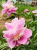 54e1142afd63f51c0daa9411af43b3ef.png
