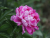 73f51f3c2b8404e68d21e50cbd1af677.png