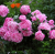 7617217008a4048f54471ab5c75689b7.png