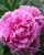 064e430701c98c82347d9af03a469048.png