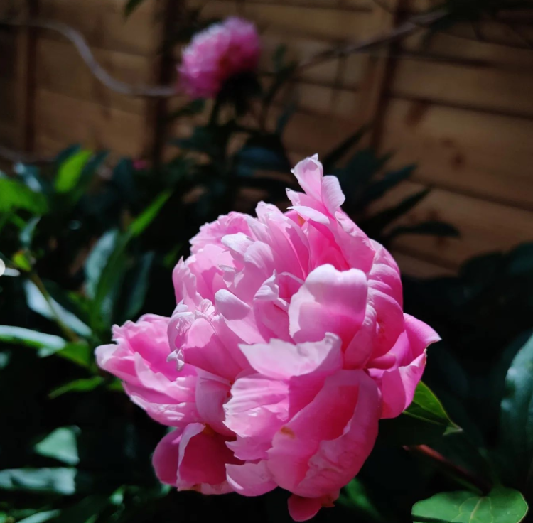 e157e3ab2710189e71510c9698a200db.png