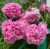 3ed0876142ce90f2e4d510e450f87b14.png