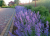0bae2991e644aed5f5c55ee3ab6d1692.png
