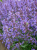 2b89399fb9642c0b191ba53b50a51112.png