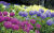 26cdcd7b1c9fd8cd64dfbd052ed7e1a8.png