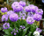 300f0a0178edbcffe4d42564afafd4fc.png