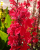 122dc569615e15b8f27d9a28a00920b3.png