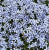 5db3df130b499343240cd29c2e601ed4.png