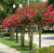 a17807d46b72e5bfc292f2b978db478c.png