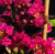 475653aeecf888e4ccb12d9893ca005f.png