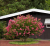 6f0950cfea49bb953d4998ddf8e2a29e.png