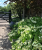 5c44a132d34b59c47581fb2a9a3aecae.png