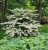 d8a44fb9135c623840777065d88f75f9.png