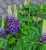c63ec4a18b99f38e76705b544ea071af.png