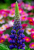 63d6b2d78e2adf6ea624c6664cdefbc0.png