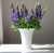 38b651b1069bad230dbdd826214f80c0.png