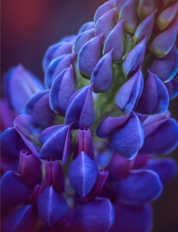 f7e07feb830d25831538547efa38bd46.png