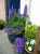 3927af3d1b716c750cfab1ae9c7e1617.png