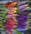0ec28f9c2d19188754e16e98d2162344.png