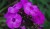 95cbcd6437e59bd0ffb28b71a5316eaa.jpg