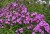 1f18cbbf9654d5d09aba92ca340d69de.jpg