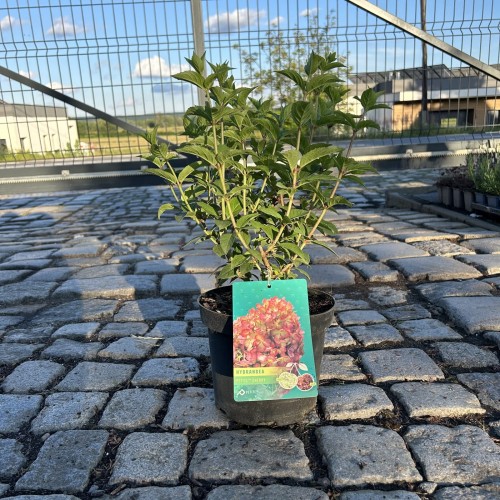 5ff55b993eaef75d0c361291a9dfdf23.jpg