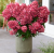 2bf38f02acae8b7a6a46c5010b7d82e2.png