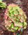 5b0a4144fa2e6a529bdb909749968034.png