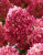 b2f72e691777b9ce6ff18c46f82b8996.png
