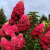 44c742db0e1231a88e92c9160e9cbd3f.png