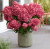 16170aad5844bfdc123a7ebdffefad52.png